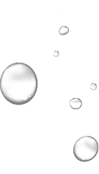 shape