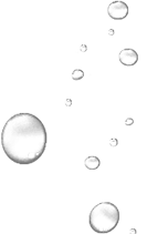 shape